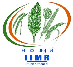 IIMR Logo